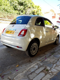 voitures-fiat-500-2024-constantine-algerie