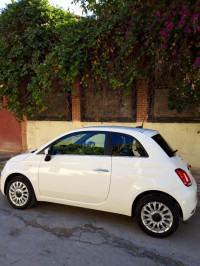 voitures-fiat-500-2024-constantine-algerie