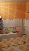 appartement-vente-f4-ain-temouchent-tolba-algerie