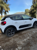 voitures-citroen-c3-2022-city-line-lakhdaria-bouira-algerie