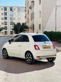 voitures-fiat-500-2023-oran-algerie