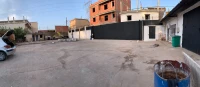 Location Hangar - Usine Alger Tessala el merdja