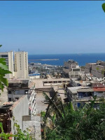 appartement-vente-f3-alger-centre-algerie