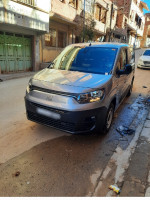 voitures-fiat-professional-doblo-2024-saida-algerie