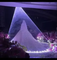 Fumé d'amour et étincelle et Lazer 3d 