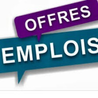 commercial-marketing-offre-demploi-pour-les-etudiants-douera-alger-algerie