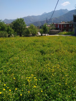 terrain-vente-bejaia-souk-el-thenine-algerie