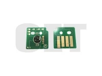 PUCE TAMBOUR (Drum Chip)