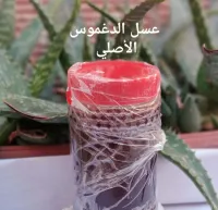 عسل الدغموس الأصلي