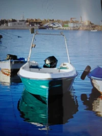 Barque 5.50 glisseur bejaia navale
