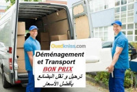 transport-et-demenagement-نقل-البضائع-و-ترحيل-اثاث-boumerdes-algerie