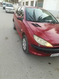 voitures-peugeot-206-2001-chebli-blida-algerie