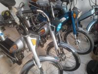 motos-scooters-peugeot-103-1983-meftah-blida-algerie