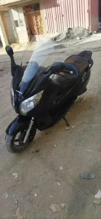 Honda swing 2009