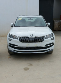 voitures-skoda-karoq-2024-ain-taya-alger-algerie