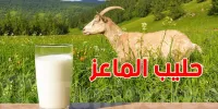 حليب الماعز