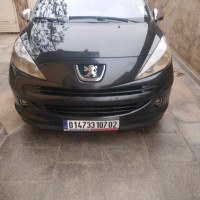 citadine-peugeot-207-2007-chettia-chlef-algerie