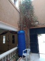 villa-vente-laghouat-algerie