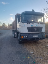 camion-شاكمان-2009-ain-bessem-bouira-algerie