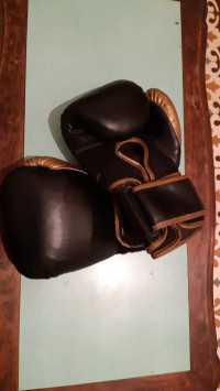 gants-et-casques-a-saisir-everlast-alger-centre-algerie