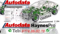 Hynes pro & Autodata Online 