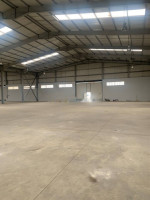 hangar-location-blida-boufarik-algerie