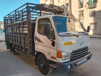 camion-hyundai-hd65-batna-algerie