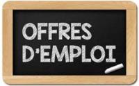 تجارة-و-مبيعات-offres-demploi-عين-الترك-وهران-الجزائر