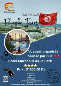 VOYAGE TUNISIE 