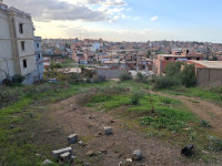 terrain-vente-boumerdes-ouled-moussa-algerie