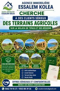 farmland-purchase-search-tipaza-algeria