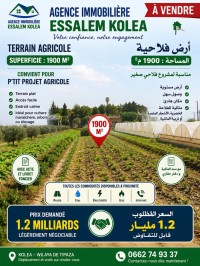 أرض-فلاحية-بيع-تيبازة-حطاطبة-الجزائر