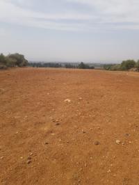 Vente Terrain Agricole Aïn Defla Khemis miliana thumbnail 3
