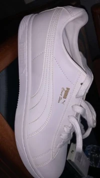 puma