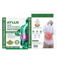 Patch pour soulager les douleurs musculaires 