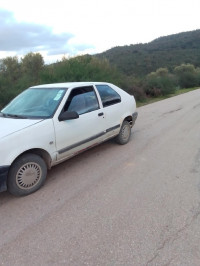 voitures-renault-19-1991-el-milia-jijel-algerie