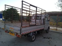 DFM DFM 2011 