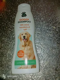 Accessoires pour chien 