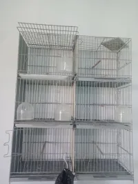 Batrie cage bonne occasion 