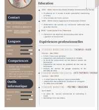 تجاري-و-تسويق-marketing-معسكر-الجزائر