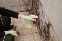 cleaning-gardening-femme-de-menage-entretien-pour-votre-cuisine-appartement-villa-escaliers-entreprise-nettoyage-ain-benian-naadja-taya-bab-ezzouar-said-hamdine-alger-algeria