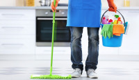 cleaning-gardening-nettoyage-desinfection-et-jardinage-femme-de-menage-jardinier-societe-dentretien-dely-brahim-alger-algeria