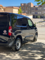 utilitaire-fiat-doblo-2024-profesional-italy-batna-algerie