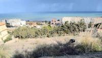 أرض-بيع-تيبازة-شرشال-الجزائر