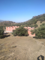 hangar-location-bouira-ahnif-algerie