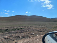 terrain-agricole-vente-oum-el-bouaghi-ain-beida-algerie