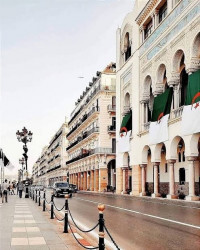 appartement-vente-f7-alger-centre-algerie