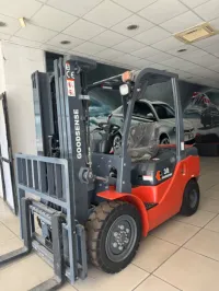 Isuzu 3 Tonnes 2025 Goodsense