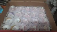 حلويات تقلدية 