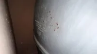 الرغاية